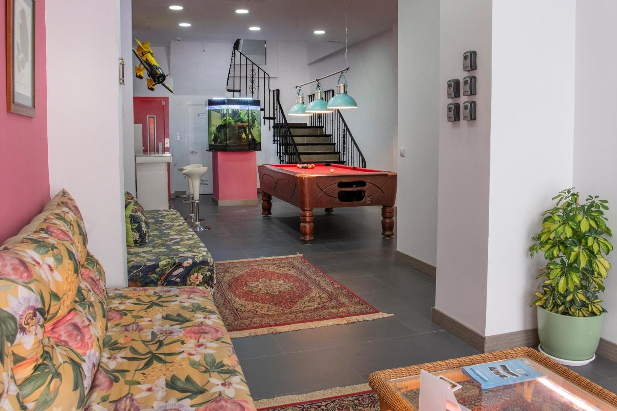 Molucano روندا المظهر الخارجي الصورة