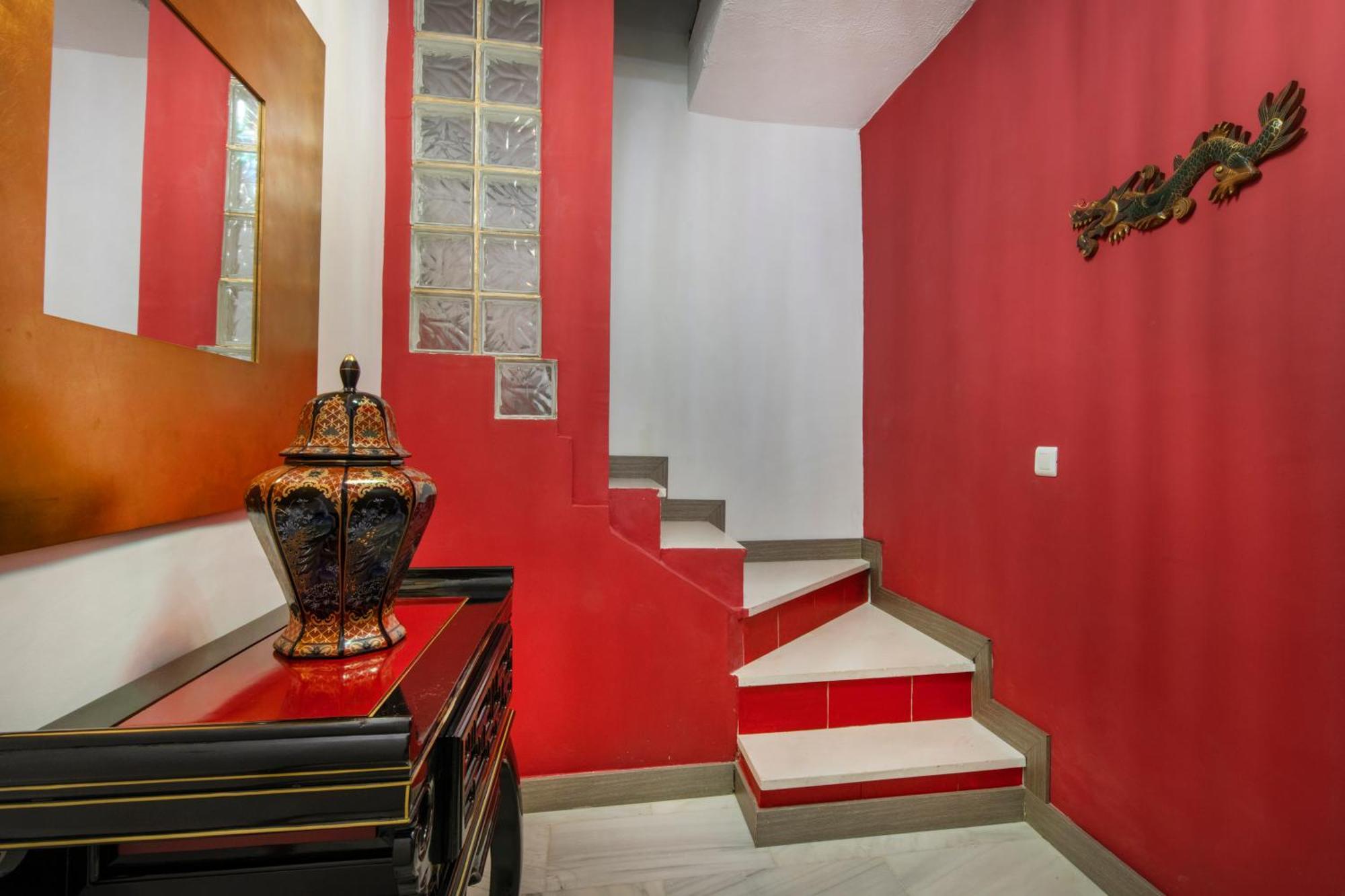 Molucano روندا المظهر الخارجي الصورة