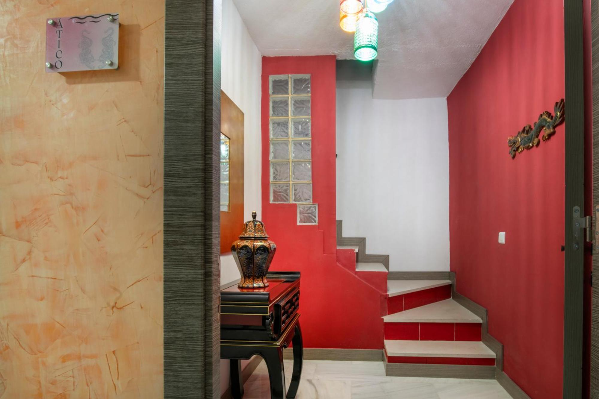 Molucano روندا المظهر الخارجي الصورة